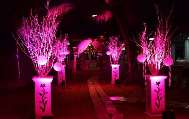 Asparagus Wedding And Event Decors - Portfolio