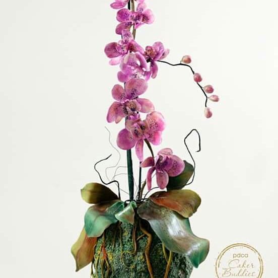Vanilla -The Cake Boutique - Portfolio
