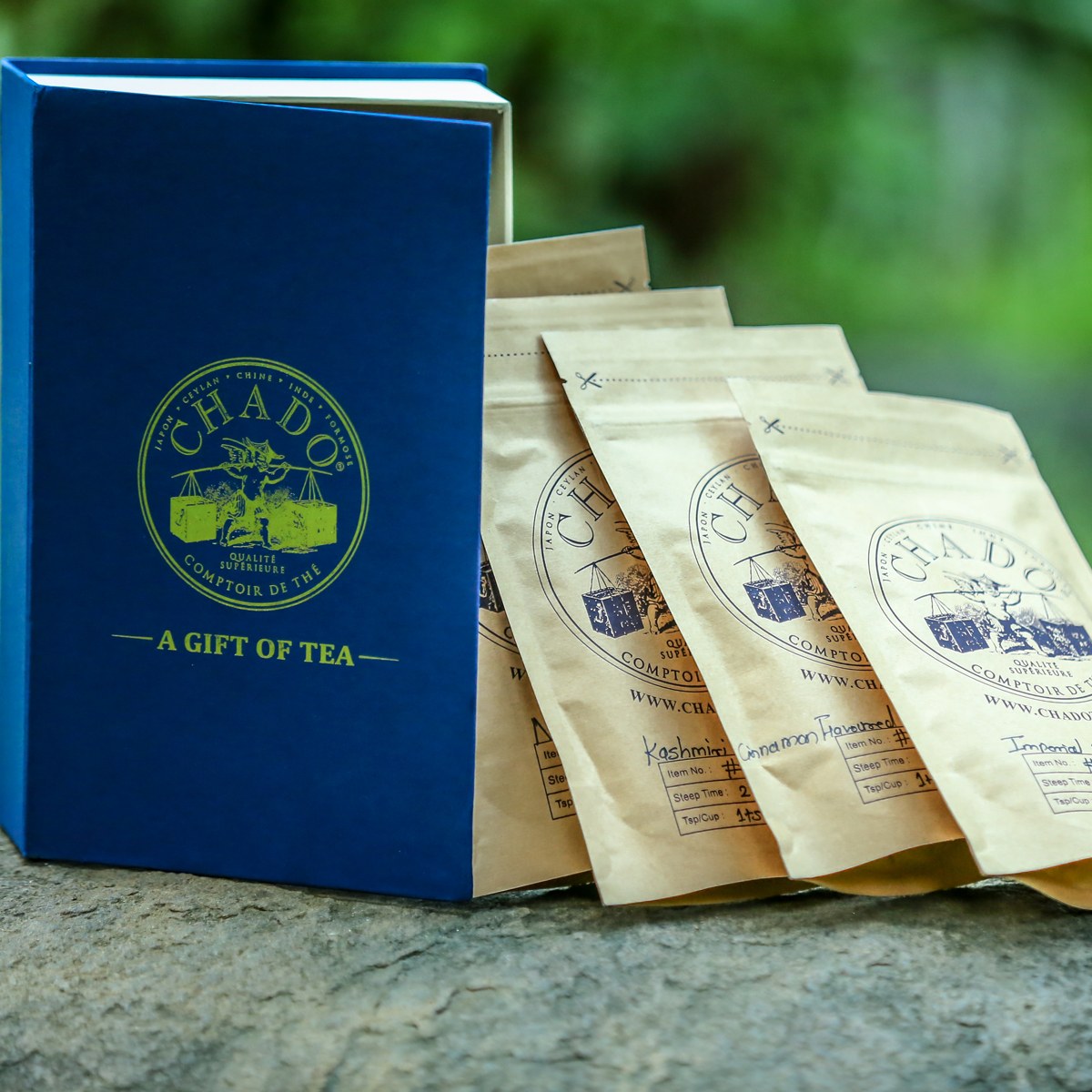 CHADO TEA INDIA - Portfolio