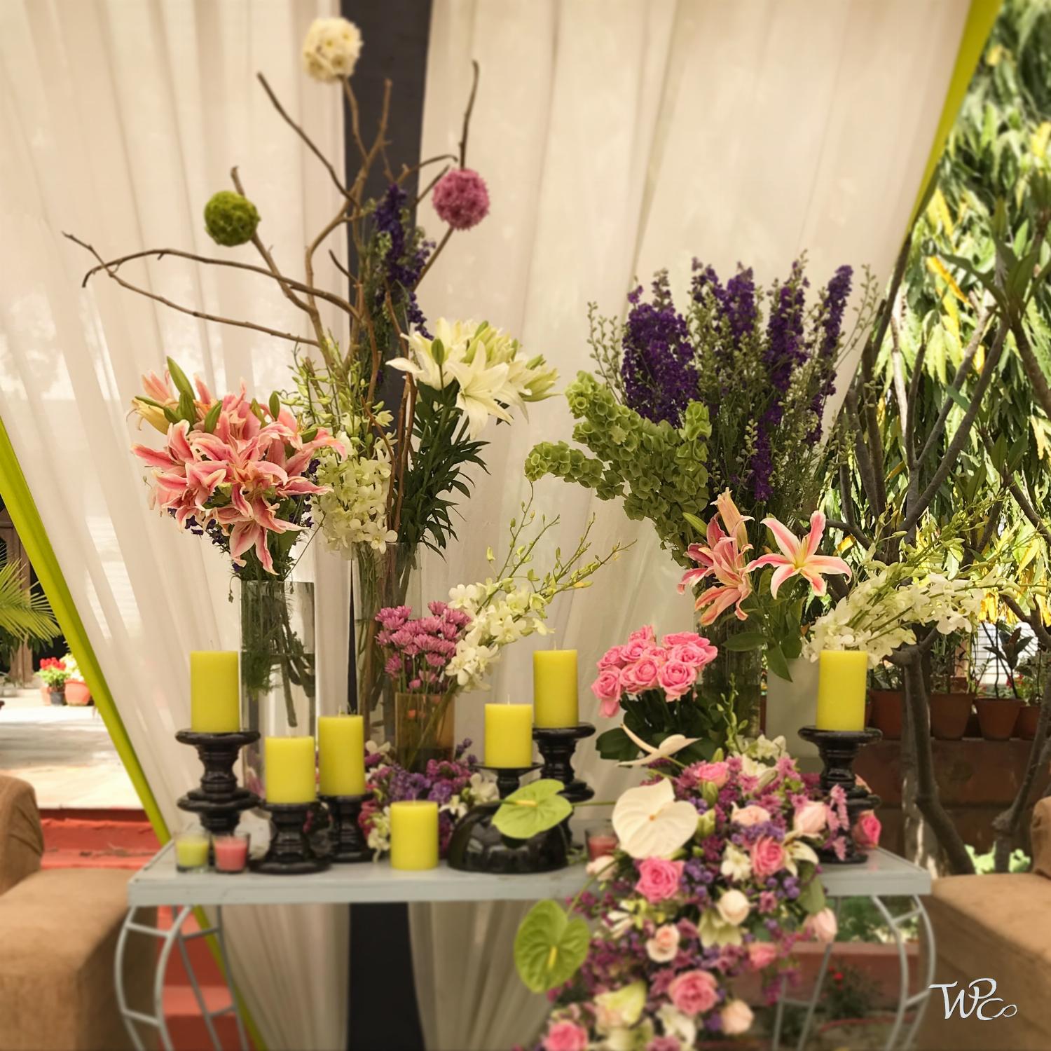 The Wedding Planning Company - Portfolio