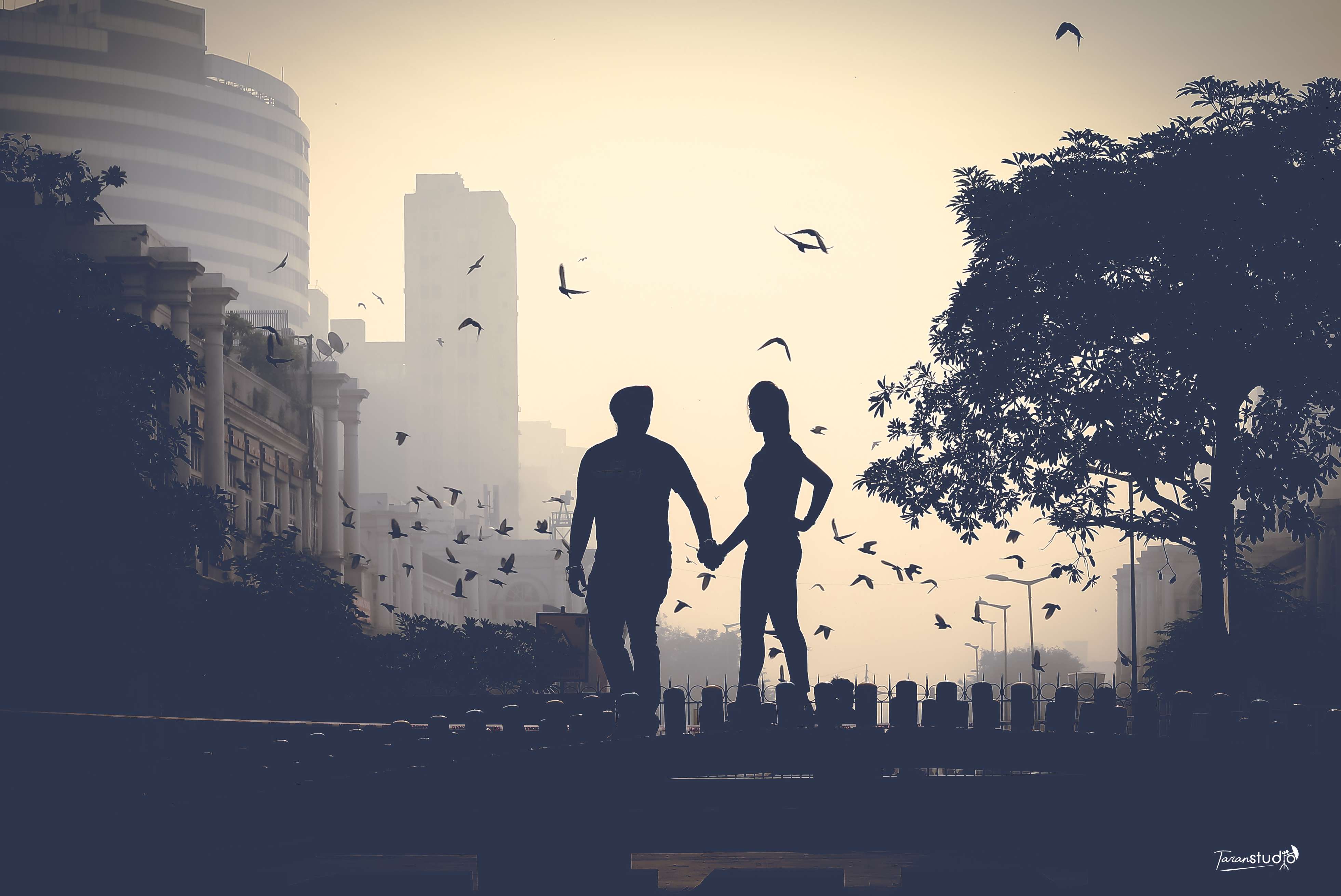 Taran Studios - Portfolio