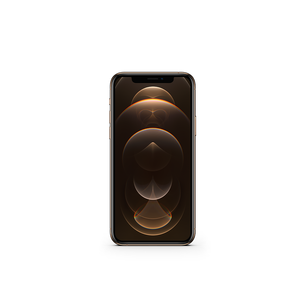 iPhone 12 Pro (512GB) / MGKT3LL/A
