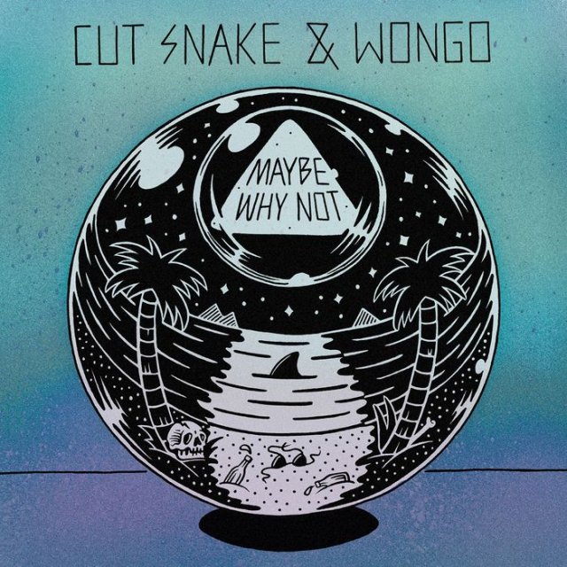 Cut Snake & Wongo - Maybe Why Not (ShoutSlice)