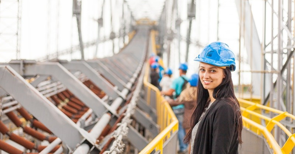 Safety Goals vs. Values