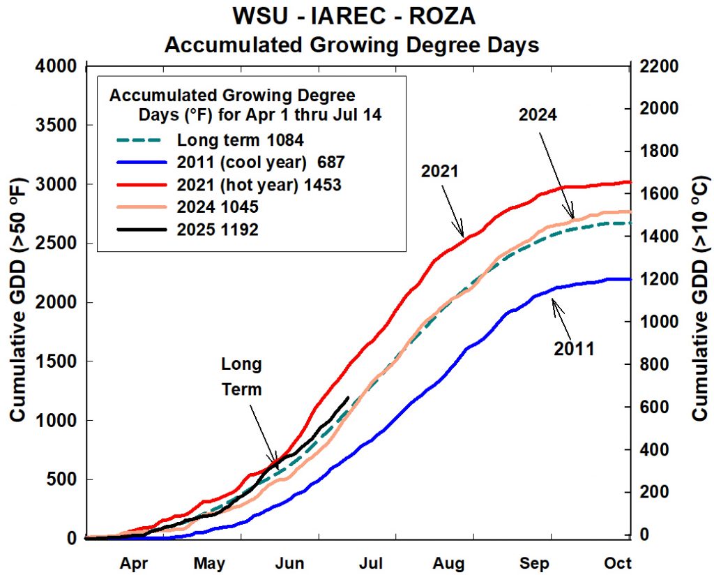 Line graph showing accumulated growing degree days (GDD) from April to October for long-term data and select years (2011, 2021, 2024, 2025) at WSU-IAREC Roza.