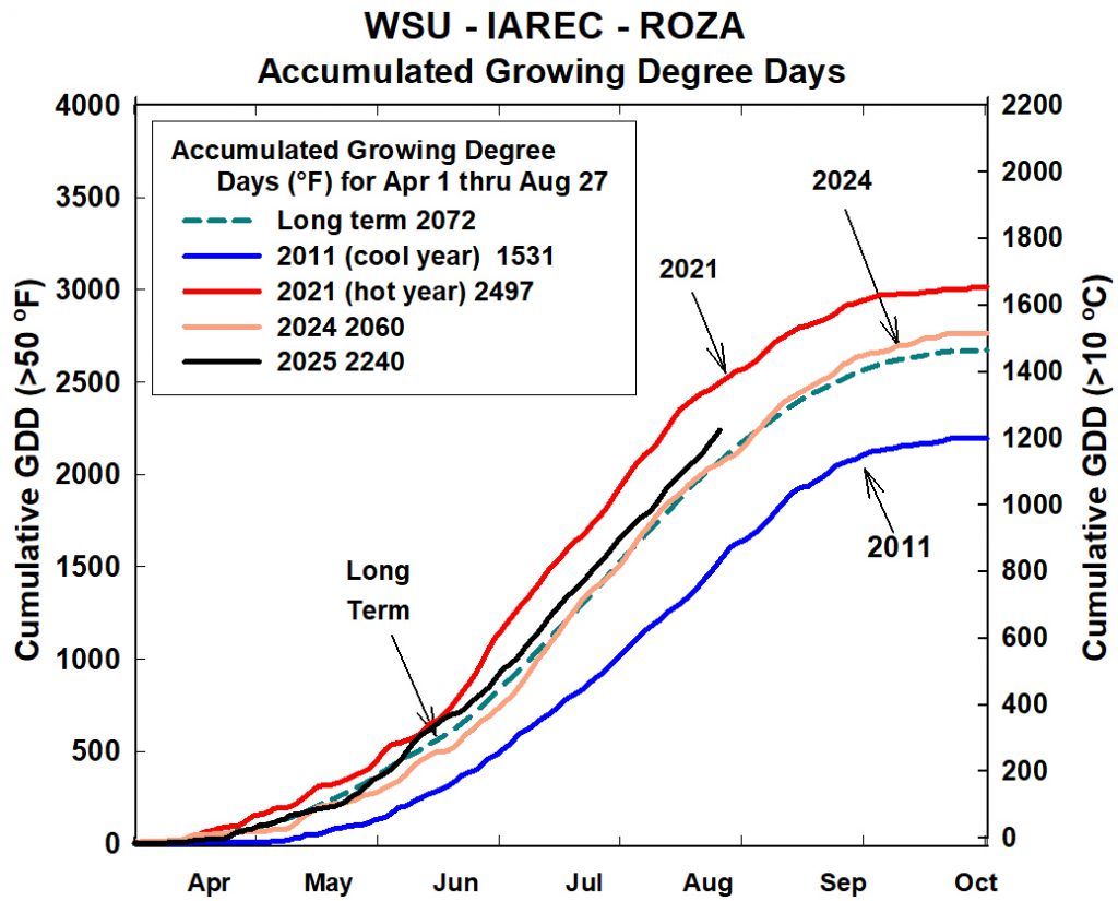 Line graph showing accumulated growing degree days (GDD) from April to October for long-term data and select years (2011, 2021, 2024, 2025) at WSU-IAREC Roza.