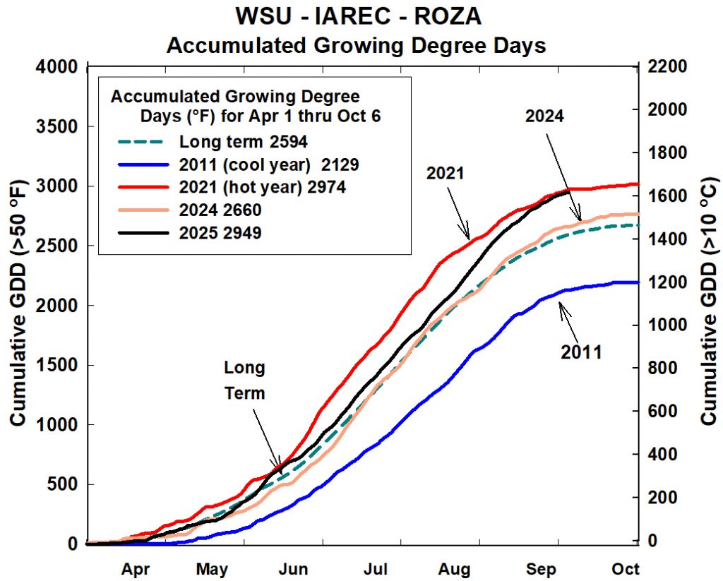 Line graph showing accumulated growing degree days (GDD) from April to October for long-term data and select years (2011, 2021, 2024, 2025) at WSU-IAREC Roza.