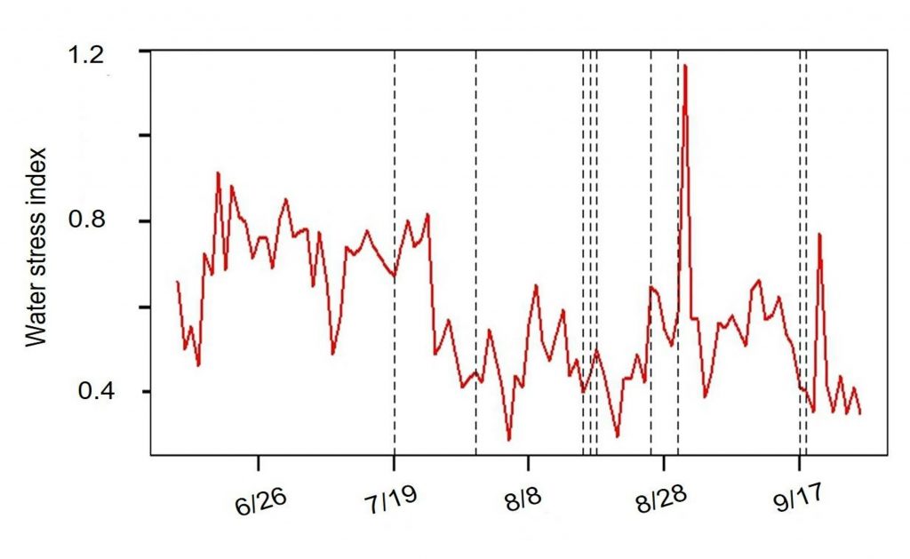 Figure showing the rise and fall of the water stress indect in a grapevine. 