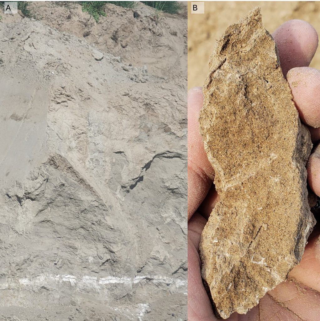 soils in eastern washington that are light brown and compact due to caliche