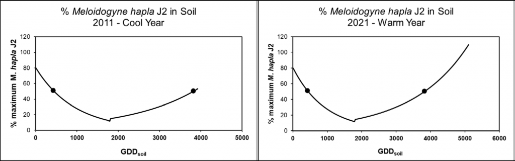A graphic showing how nematode J2 populations decline in the summer. In cooler years, that decline is later. In warmer years, that decline is earlier.