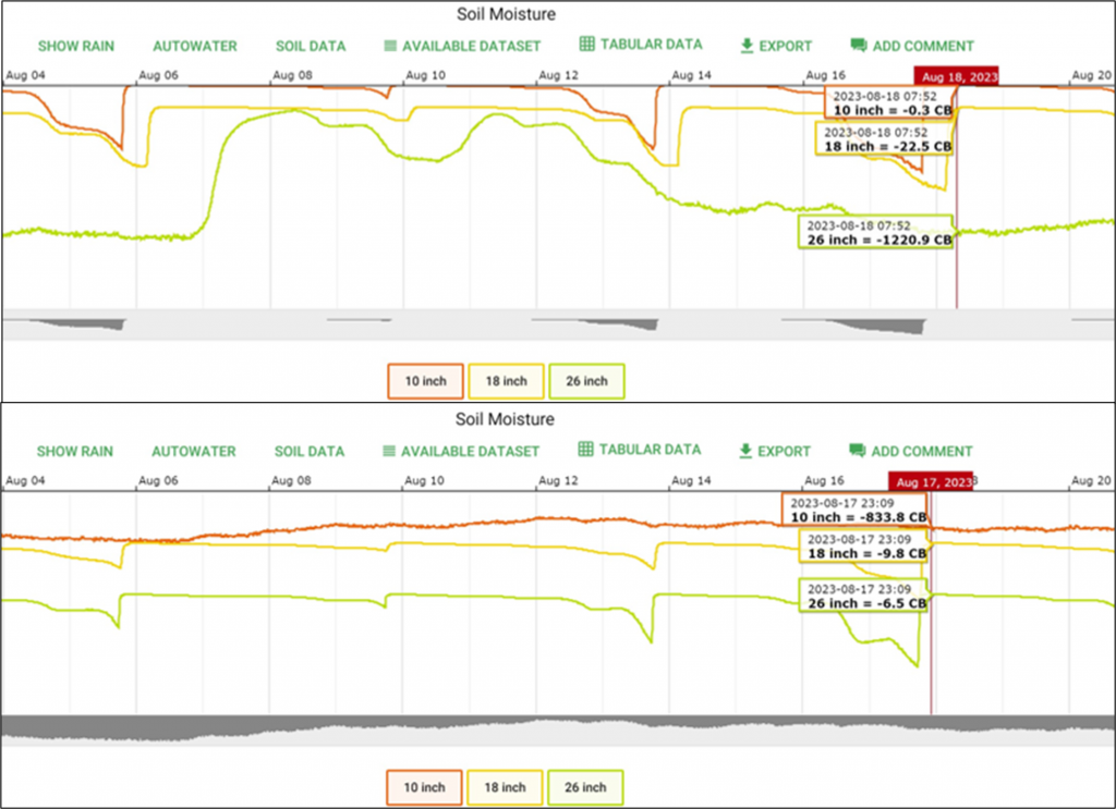 Soil water availability measured by tensiometers at 3 depths in soil profile under SD (top) and DRZ (bottom) drip irrigation. Water tension expressed in negative centibars