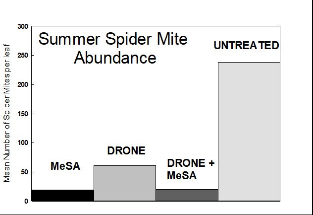 a graph showing a reduction in spider mites across all treatments