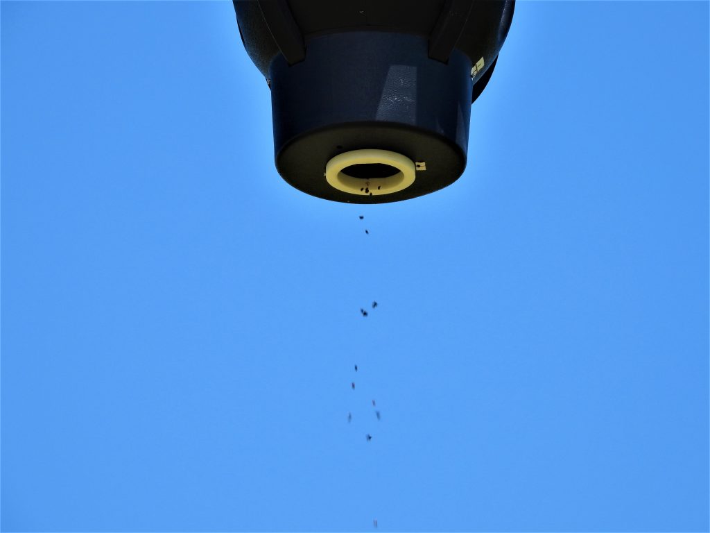 small insects fall out of a drone orfice with a blue sky backdrop.