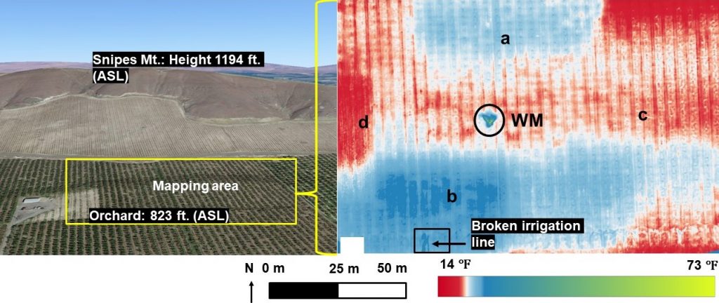a two part picture showing an aerial image of an orchard, then an image of the thermal map of that orchard, showing where cold air pools.