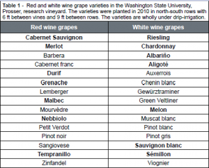 A list of red and white fruited wine grape varieties grown in eastern Washington. Pictured text says Red and white wine grape varieties in the Washington State University, Prosser, research vineyard. The varieties were planted in 2010 in north-south rows with 6 ft between vines and 9 ft between rows. The varieties are wholly under drip-irrigation.