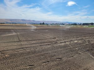 A newly plowed plot of land, with irrigation going to wet the soil. The future site of a new vineyard. 