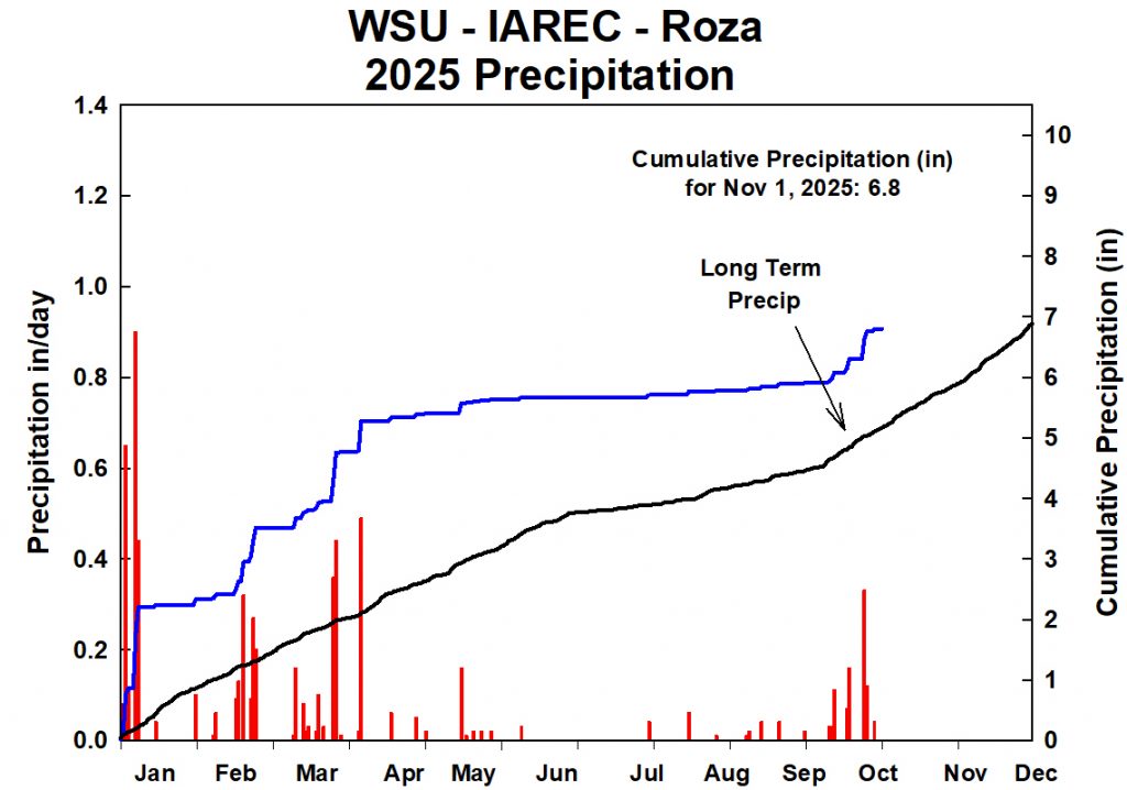 Line graph showing accumulated preciptation for 2025 at WSU-IAREC Roza.