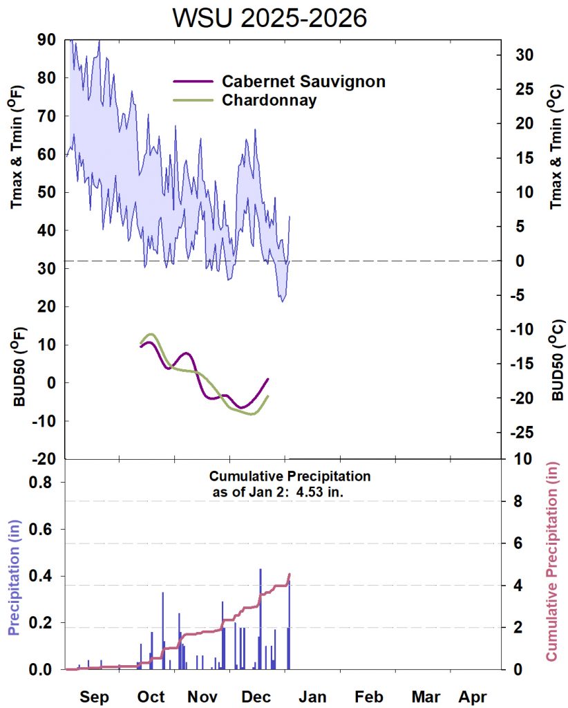 This graphic shows winter daytime high and low temperatures, followed by how bud cold hardiness for Cabernet Sauvignon and Chardonnay grapevines is responding to that temperature. It also shows accumulated precipitation for September 2025-April 2026