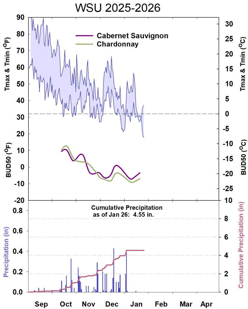 This graphic shows winter daytime high and low temperatures, followed by how bud cold hardiness for Cabernet Sauvignon and Chardonnay grapevines is responding to that temperature. It also shows accumulated precipitation for September 2025-April 2026