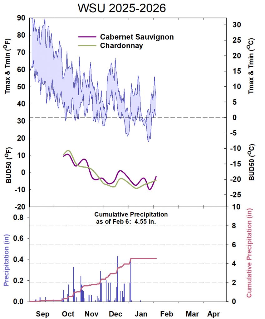This graphic shows winter daytime high and low temperatures, followed by how bud cold hardiness for selected grapevines is responding to that temperature for September 2025-April 2026