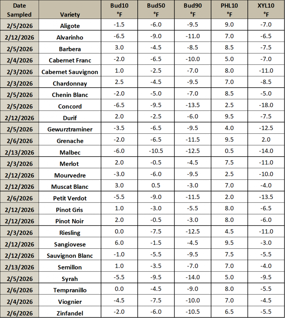 This is an image of a table listing different grapevine varieties, and the temperature thresholds at which they will have 10, 50 or 90% of their primary buds die. It also includes the temperature thresholds for which 10% of the phloem and xylem will die.