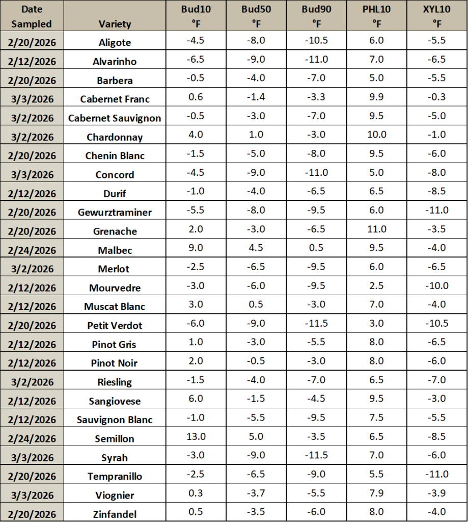 This is an image of a table listing different grapevine varieties, and the temperature thresholds at which they will have 10, 50 or 90% of their primary buds die. It also includes the temperature thresholds for which 10% of the phloem and xylem will die.