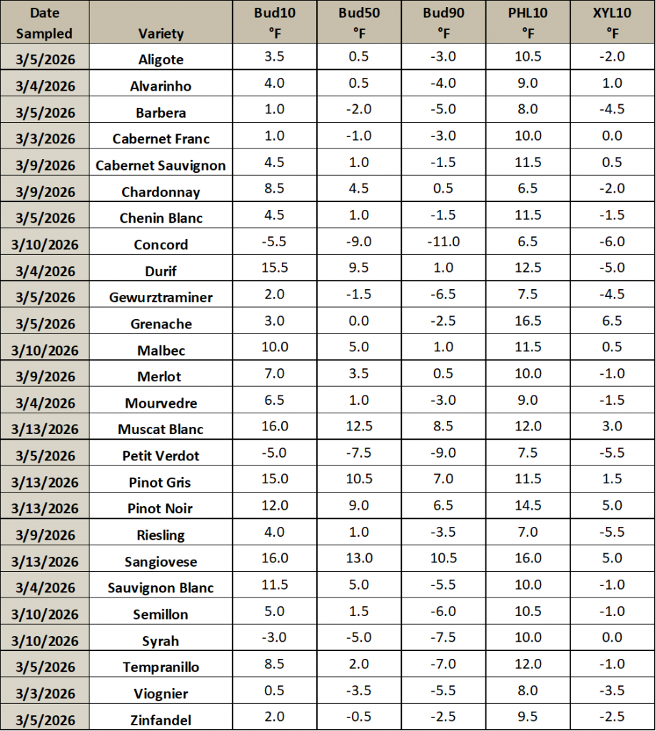 This is an image of a table listing different grapevine varieties, and the temperature thresholds at which they will have 10, 50 or 90% of their primary buds die. It also includes the temperature thresholds for which 10% of the phloem and xylem will die.