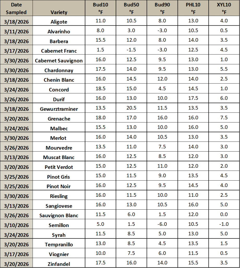 This is an image of a table listing different grapevine varieties, and the temperature thresholds at which they will have 10, 50 or 90% of their primary buds die. It also includes the temperature thresholds for which 10% of the phloem and xylem will die.
