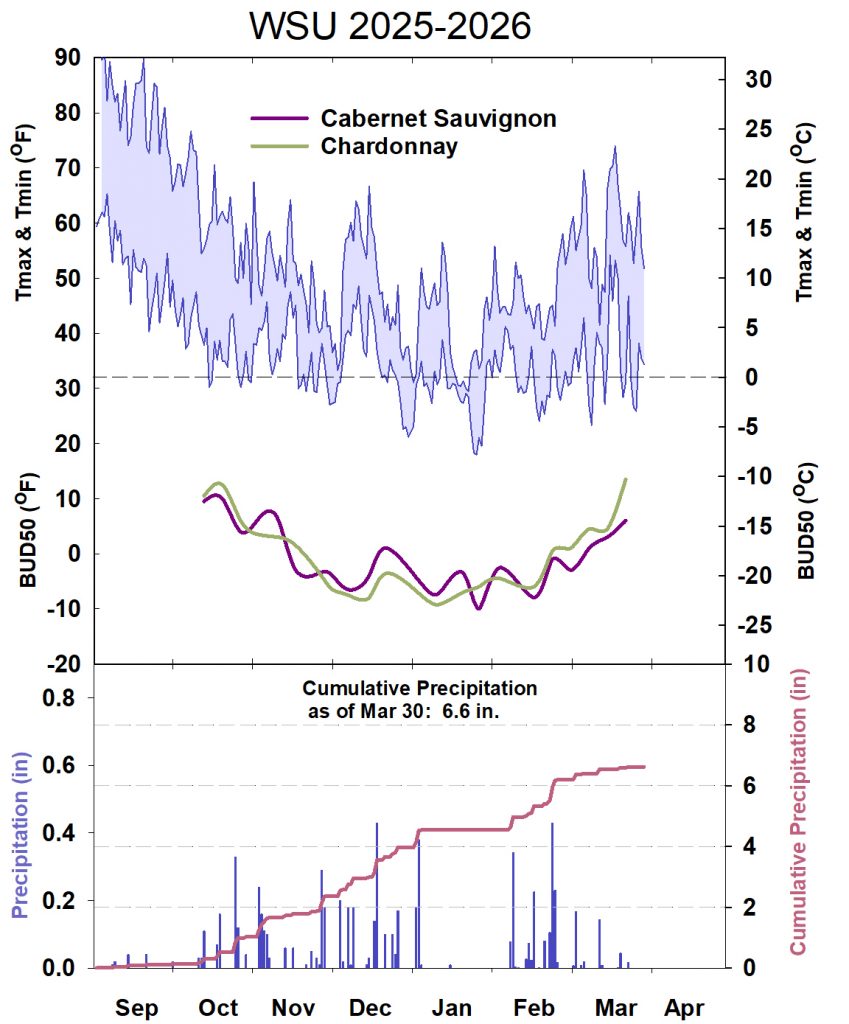 This graphic shows winter daytime high and low temperatures, followed by how bud cold hardiness for selected grapevines is responding to that temperature for September 2025-April 2026
