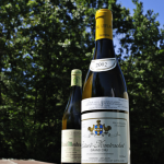 Wine for Summer | Batard Montrachet