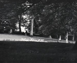 Paul Caponigro (American, b. 1932) Standing White Deer, Ireland, 1967 (Lot 113, Estimate $2,000-$3,000)