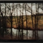 Nan Goldin (American, b. 1953), Trees by the River, Munich, 1994, dye destruction print (Lot 197, Estimate: $6,000-8,000)