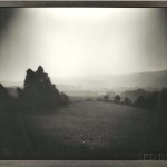 Sally Mann (American, b. 1951) Untitled, 1993, printed 1997 (Lot 196, Estimate: $8,000-12,000)