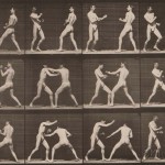 Eadweard Muybridge (British, 1830-1904) Plate 338 (Men boxing) from Animal Locomotion, 1887 (Lot 143, Estimate: $800-1,200)