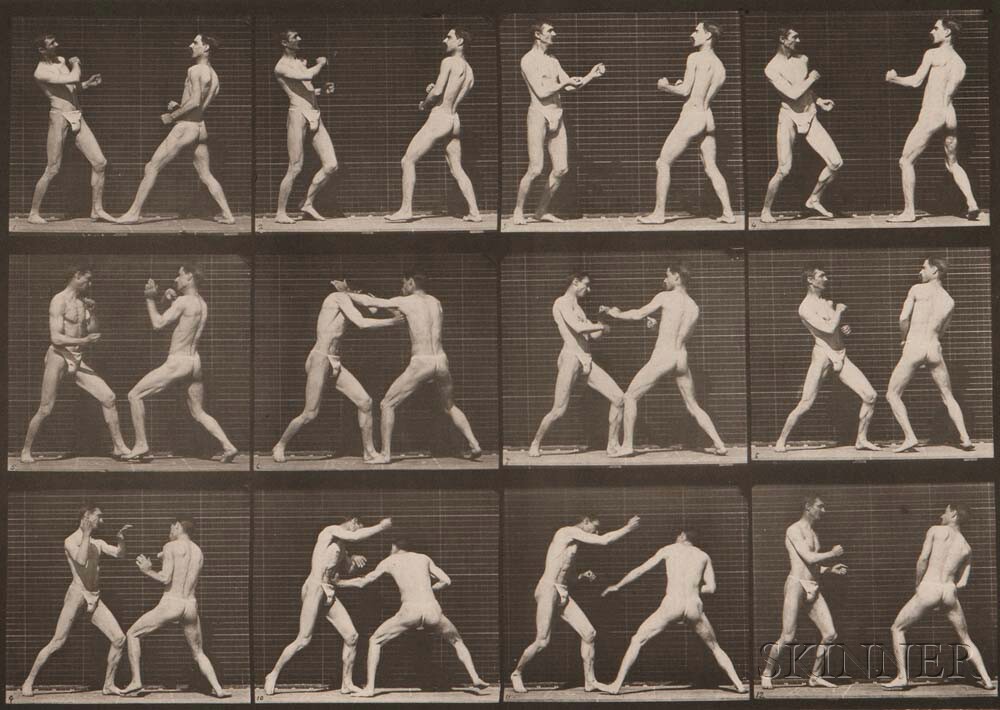 Eadweard Muybridge (British, 1830-1904) Plate 338 (Men boxing) from Animal Locomotion, 1887 (Lot 143, Estimate: $800-1,200)