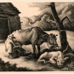 3010B_Lot_40_White_Calf