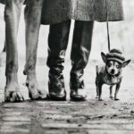 Elliott Erwitt (American, b. 1928) New York City, 1974 (Lot 160, Estimate: $3,000-5,000)