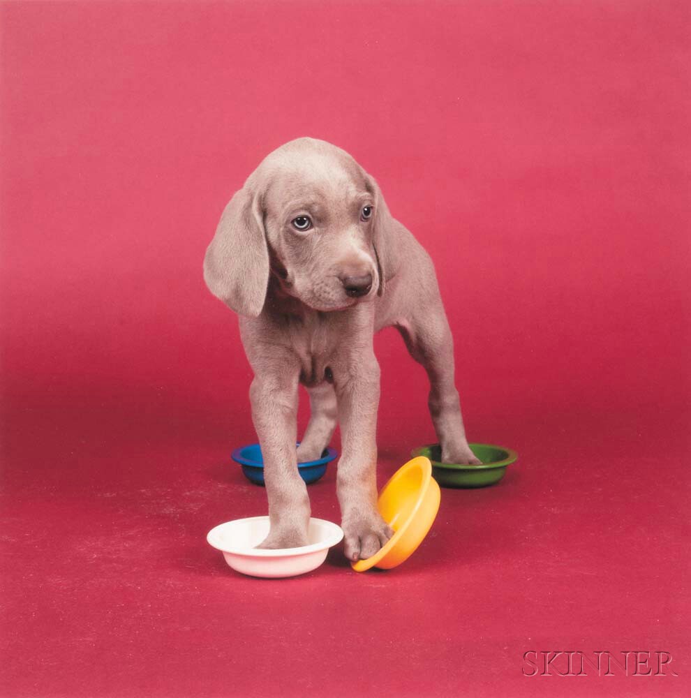 William Wegman (American, b. 1943) Bowling (Lot 167, Estimate: $800-1,200)