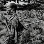 Sebastião Salgado (Brazilian, b. 1944) Bushman, Botswana, 2008 (Lot 140, Estimate $4,000-6,000)