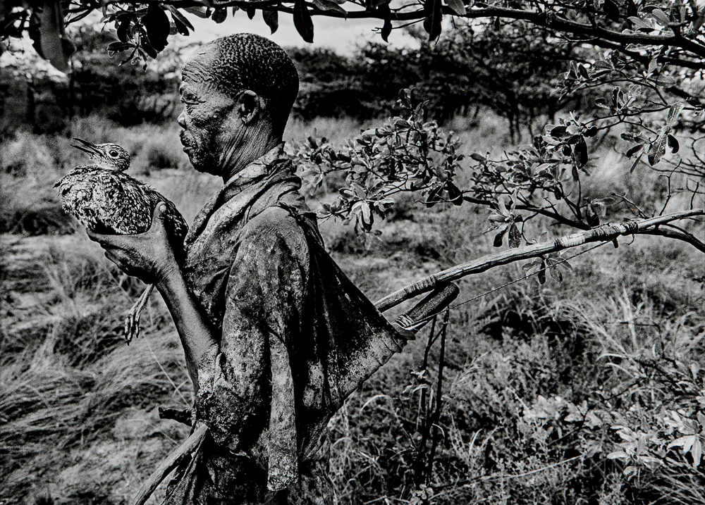 Sebastião Salgado (Brazilian, b. 1944) Bushman, Botswana, 2008 (Lot 140, Estimate $4,000-6,000)