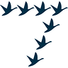 7Geese