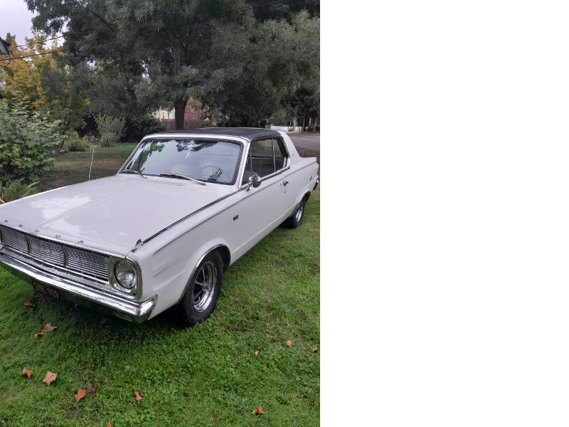 Dando's Automotive logo