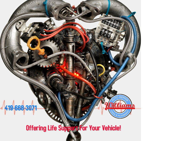 Williams Norwalk Tire & Alignment logo