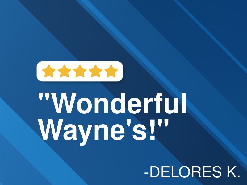 Wayne's Car Care & Transmission logo