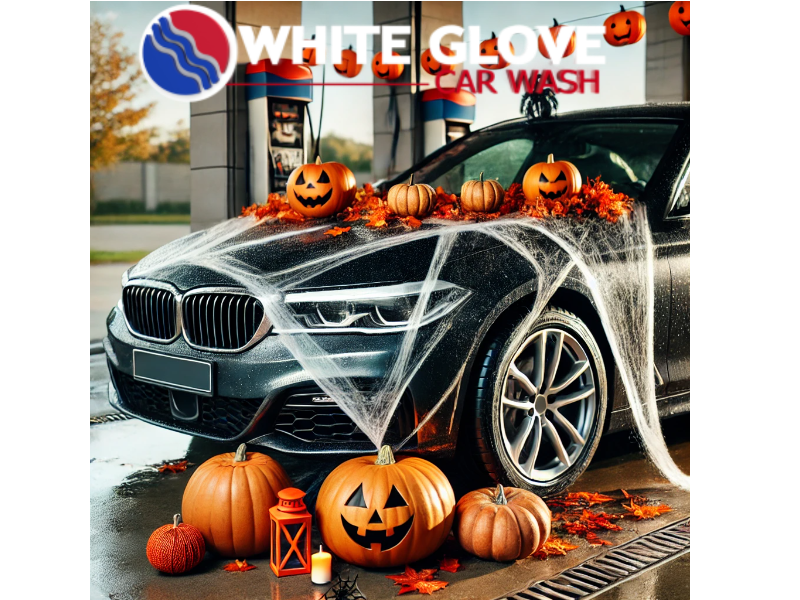 White Glove Car Wash & Detailing logo