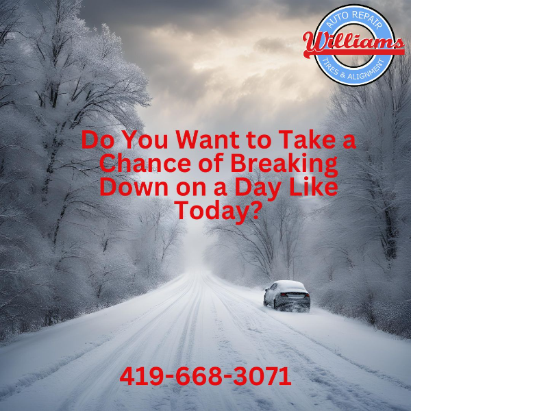 Williams Norwalk Tire & Alignment logo