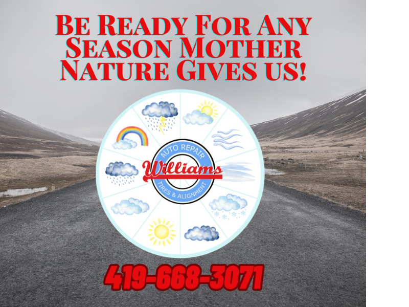 Williams Norwalk Tire & Alignment logo