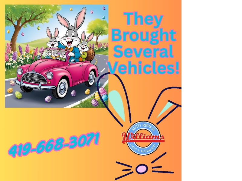 Williams Norwalk Tire & Alignment logo