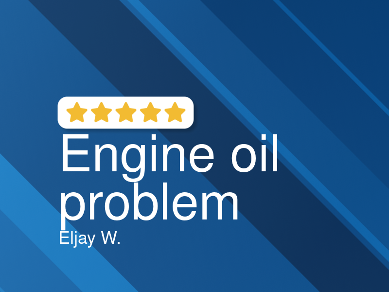 Little Man Auto Care logo