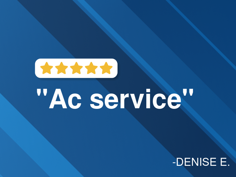 Indian Automotive & Accessories logo